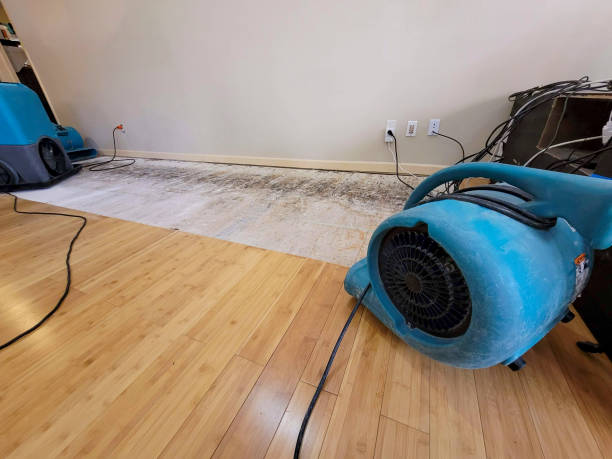 Professional Flood Damage Cleanup technician working in Skokie, IL